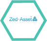 zed-assest-icon